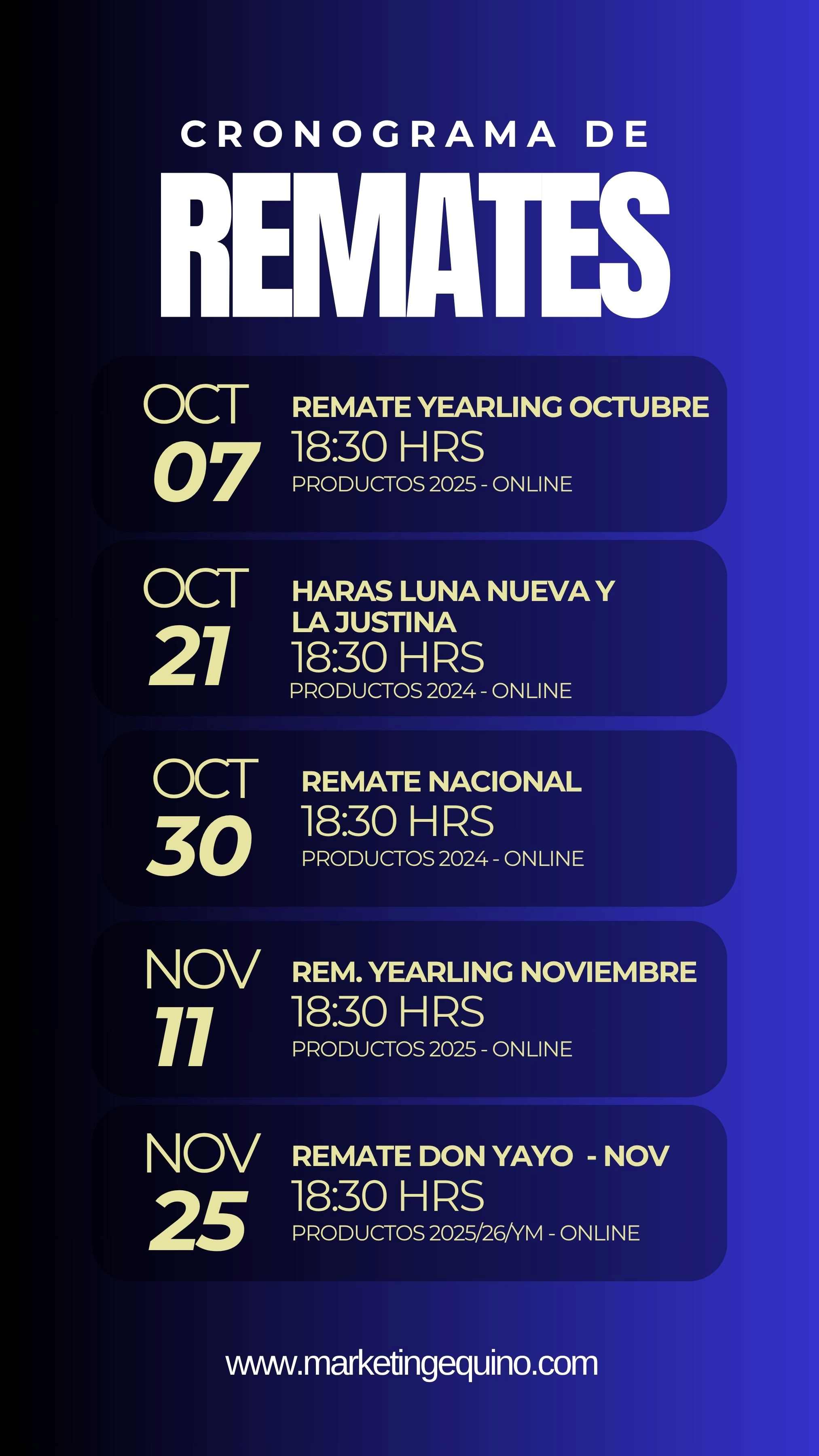 Marqueting Equino