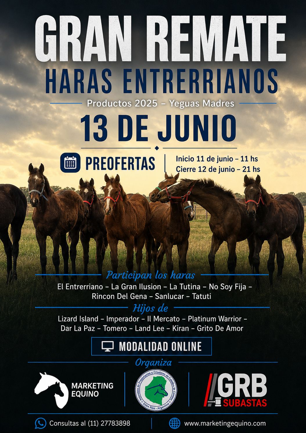 Marqueting Equino