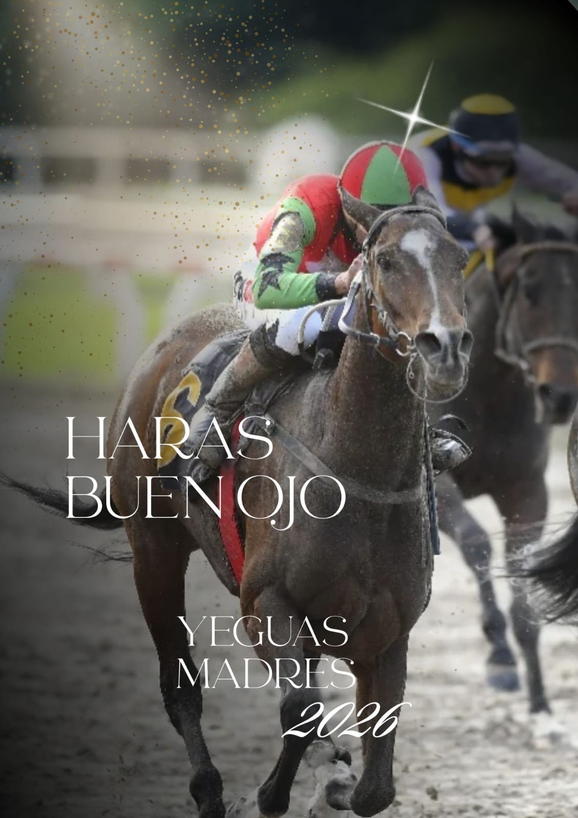 Marqueting Equino